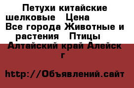 Петухи китайские шелковые › Цена ­ 1 000 - Все города Животные и растения » Птицы   . Алтайский край,Алейск г.